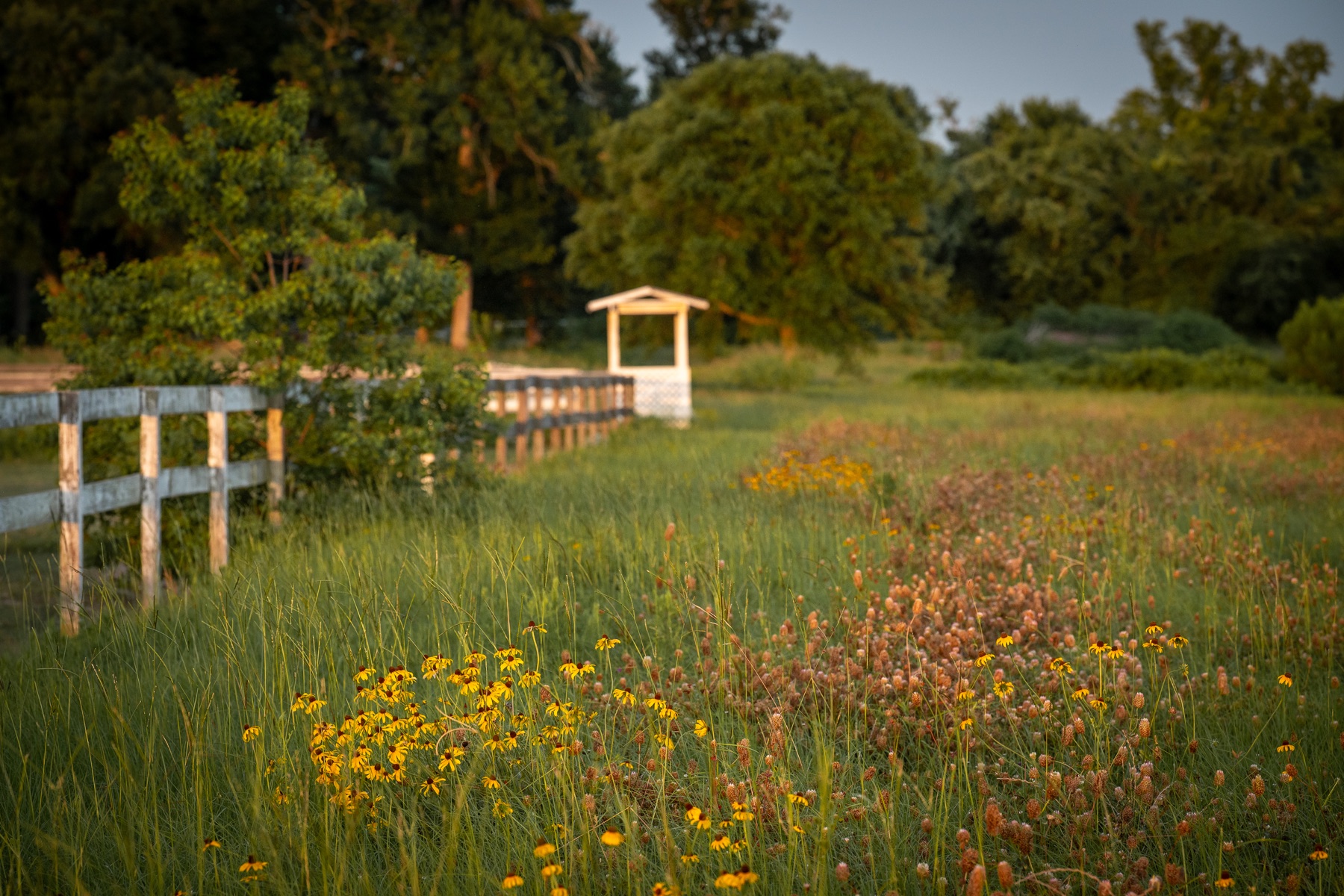 Gazebo and wildflowers at Beacon Ranch