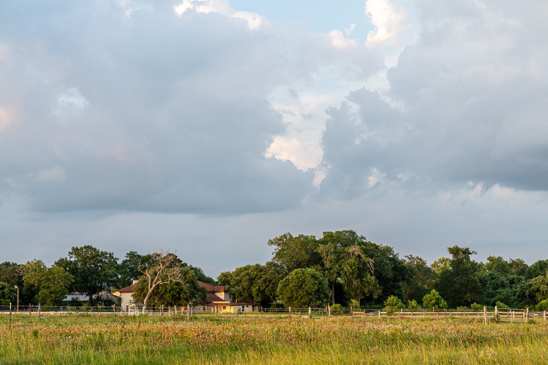 Open pasture and sky at Beacon Ranch