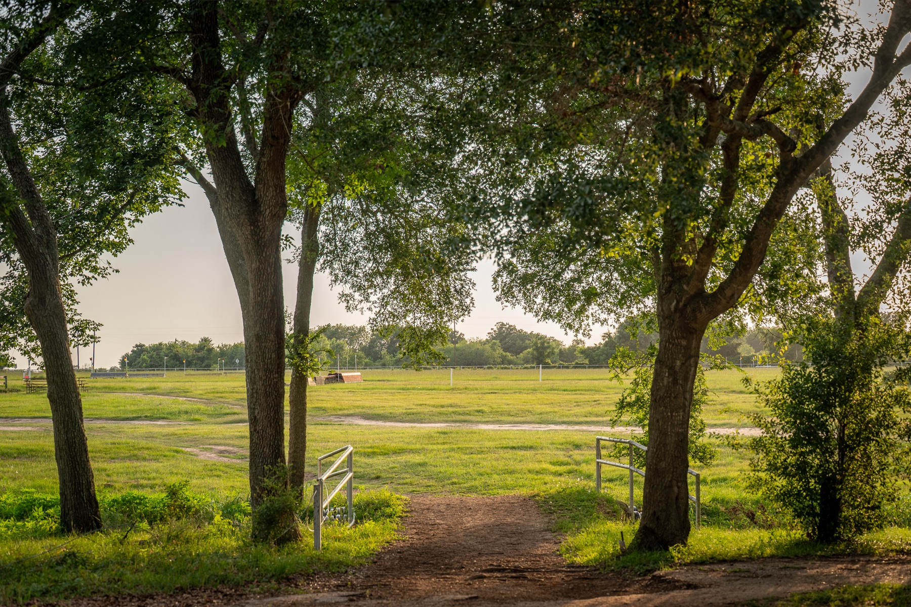 Path through the oaks out to the pasture