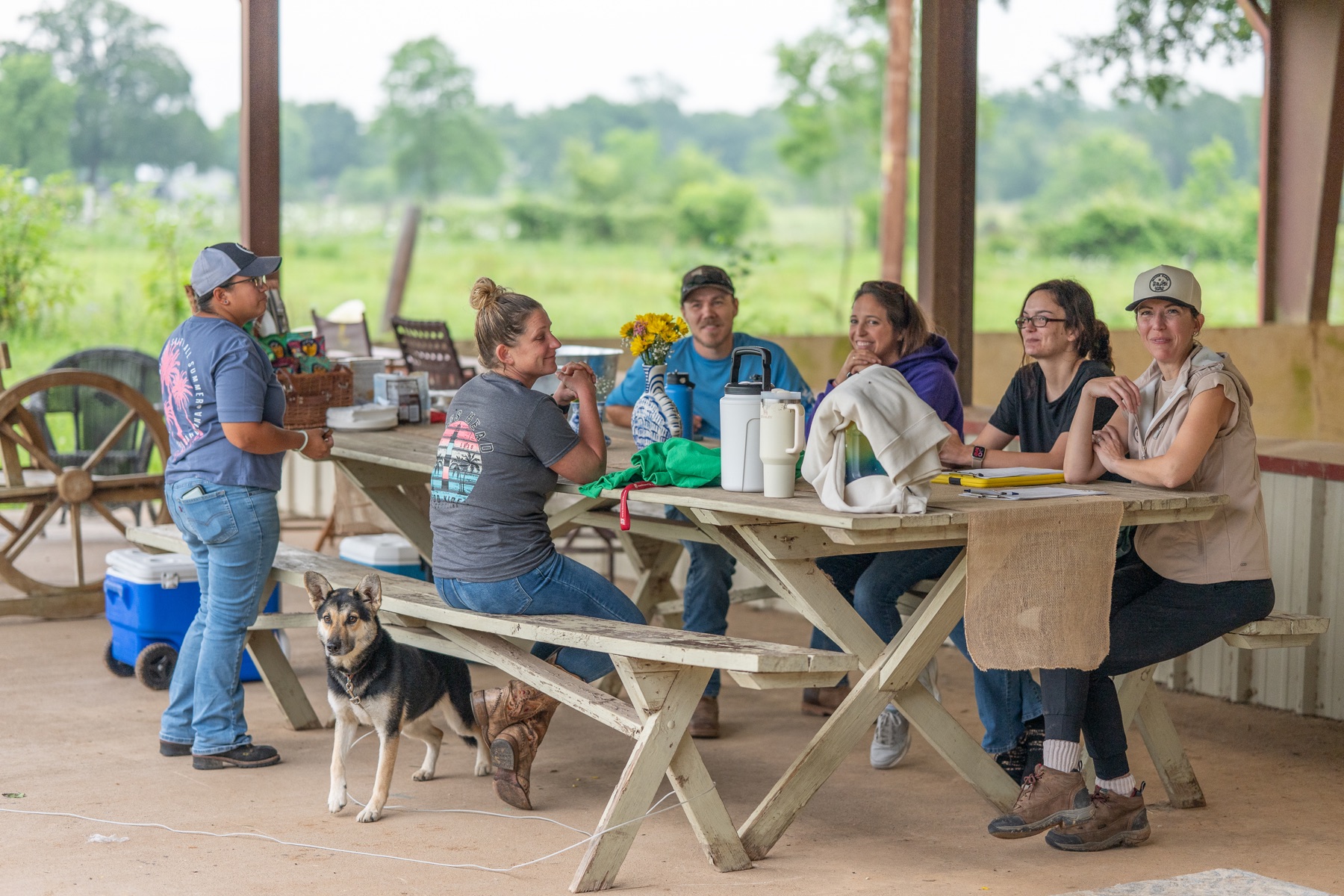A group sharing lunch under the pavilion