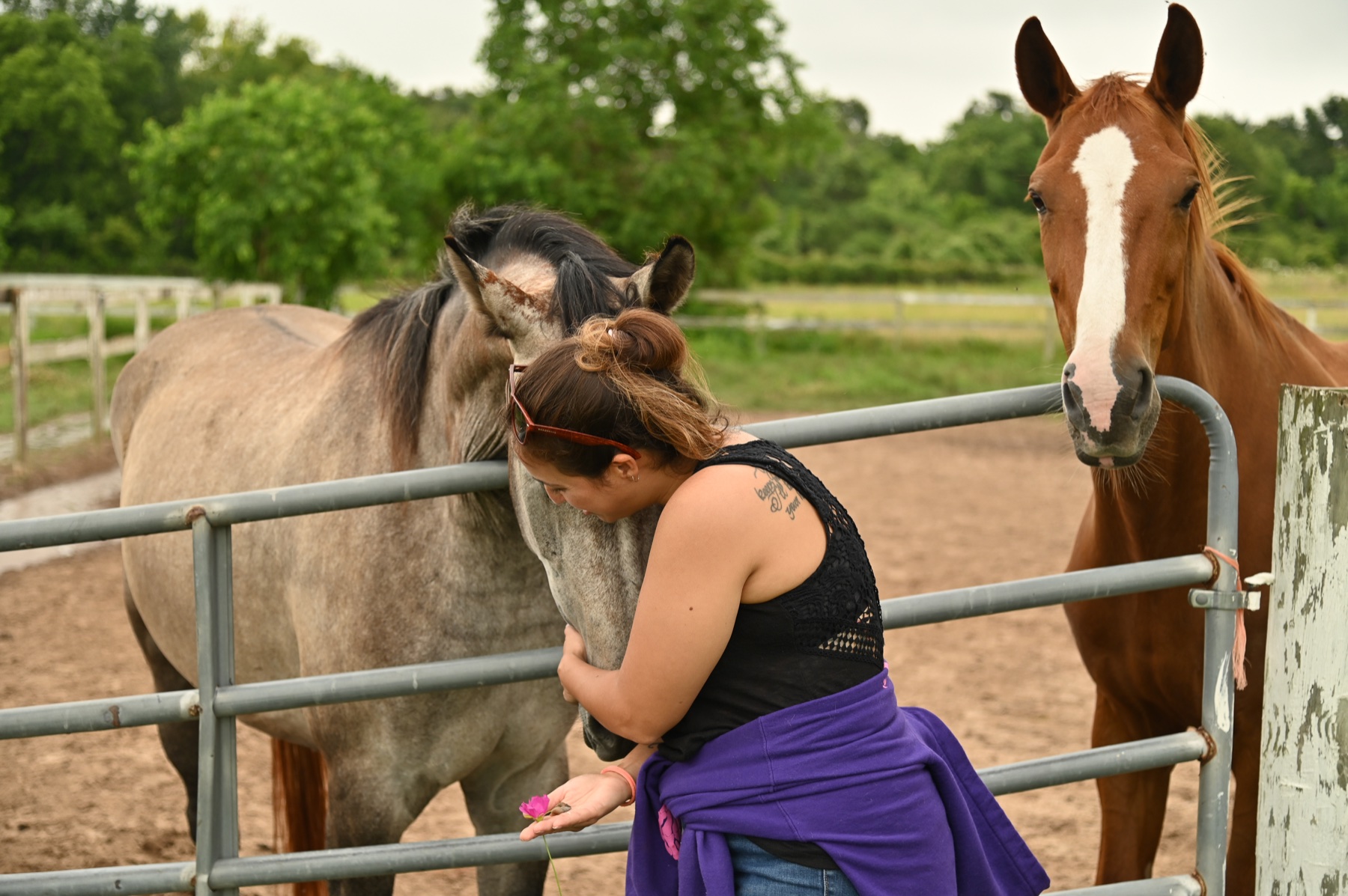 A quiet moment resting against one of the horses